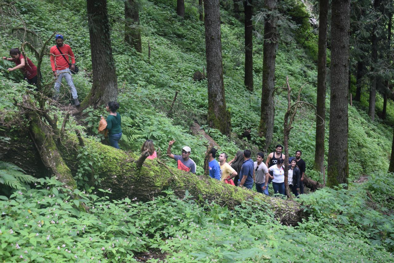 Ghughuti Resort Mussoorie Dış mekan fotoğraf